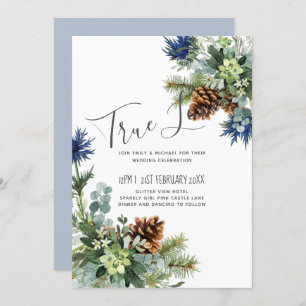 Terra Maravilhosa do Casamento Eucalyptus Blue de
