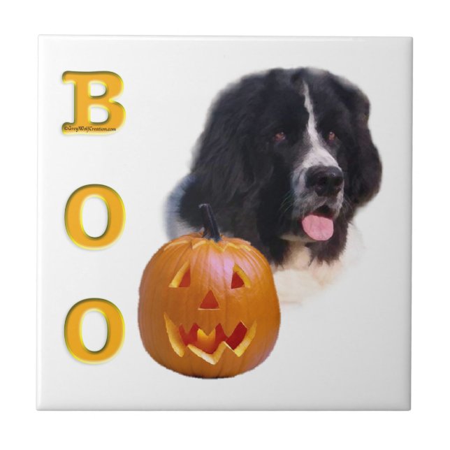 Terra Nova - Halloween Boo (Frente)