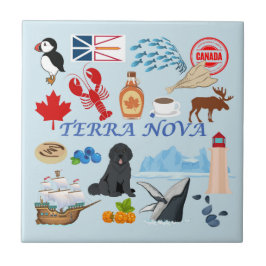 Terra Nova Terra Nova