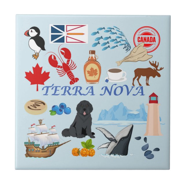 Terra Nova Terra Nova (Frente)