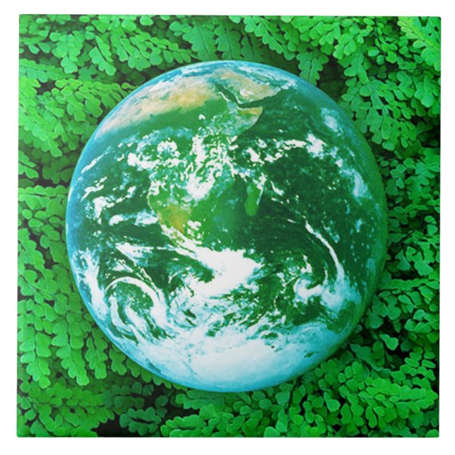 Terra Verde - consciência ecológica (Frente)