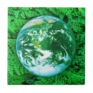 Terra Verde, Consciência Ecológica