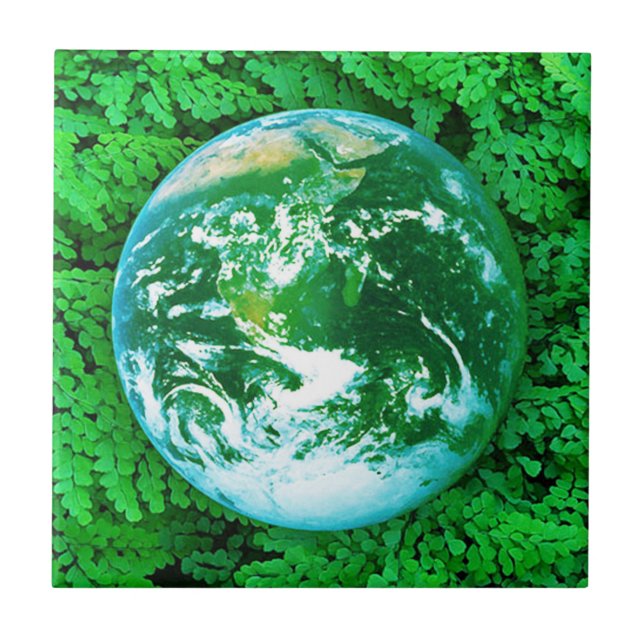 Terra Verde, Consciência Ecológica (Frente)