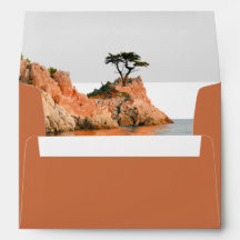 Terracotta Cypress Liner Endereço de Devolução Cas