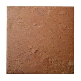 Terracotta red simple rustic