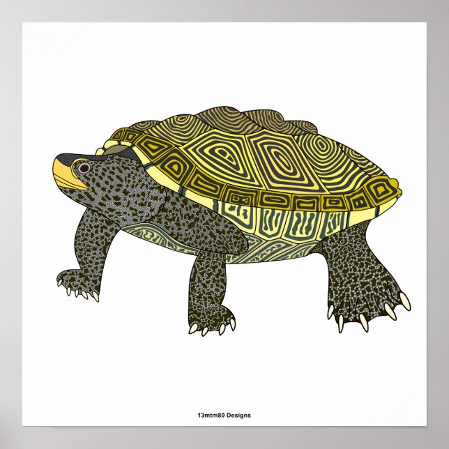 Terrapin (branco) - Impressão de Poster (Frente)