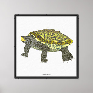 Terrapin (branco) - Impressão em Tela