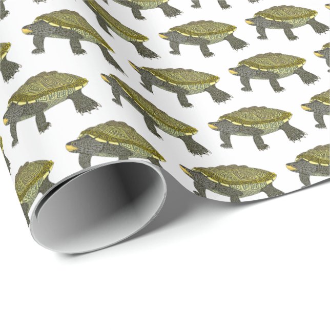 Terrapin (branco) - Papel de embrulho (Ponta do rolo)