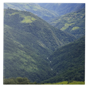 Terras agrícolas e floresta do Himalaia no vale de
