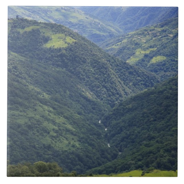 Terras agrícolas e floresta do Himalaia no vale de (Frente)