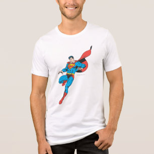 Terras Superman leves 2