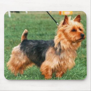 Terrier australiano Mousepad