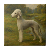 Terrier Bedlington