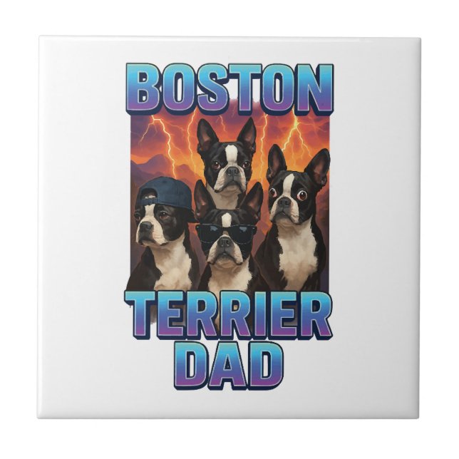 Terrier de Boston (Frente)