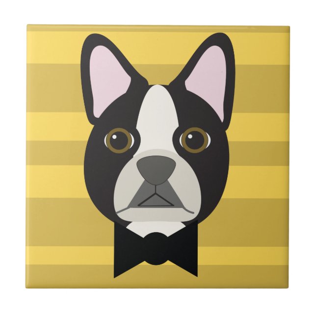 Terrier de Boston (Frente)
