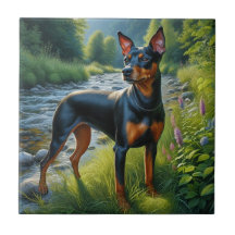 Terrier de Manchester