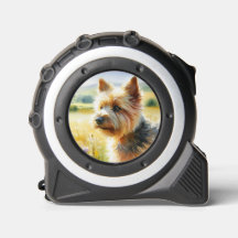 Terrier de Norwich