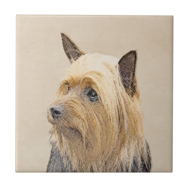 Terrier de seda que pinta - arte original bonito (Frente)