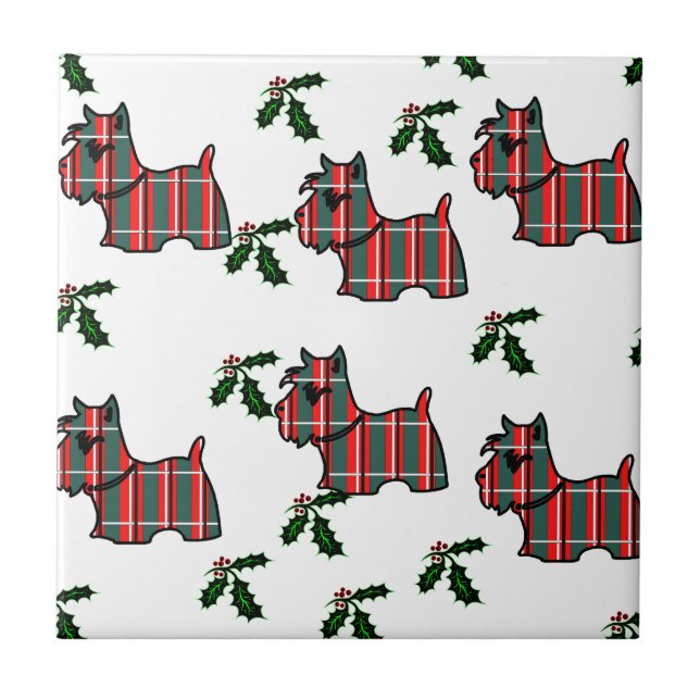 TERRIER ESCOCÊS (Frente)