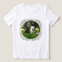 Terrier Escocês com Westie