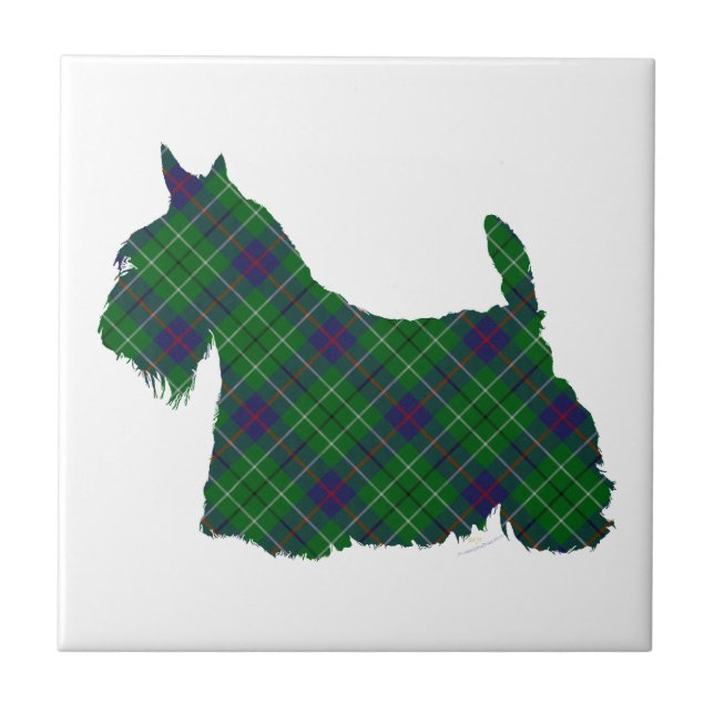 Terrier Escocês Duncan Tartan (Frente)