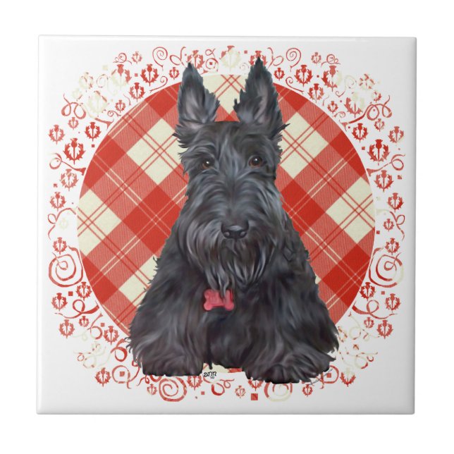 Terrier Escocês em Tartan (Frente)