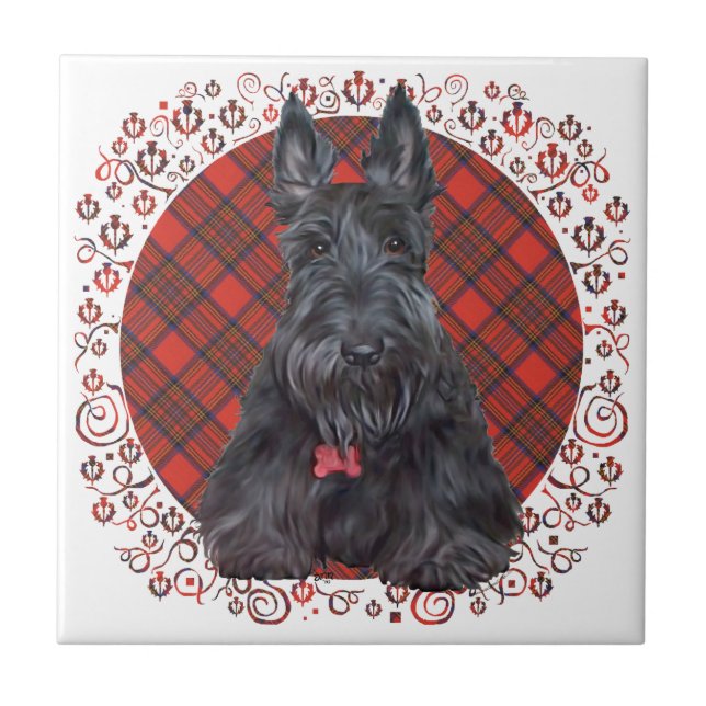 Terrier Escocês em Tartan (Frente)