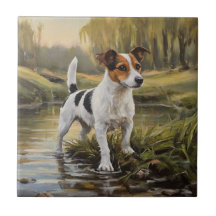Terrier Jack Russell