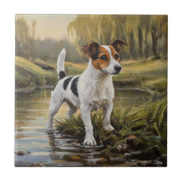 Terrier Jack Russell