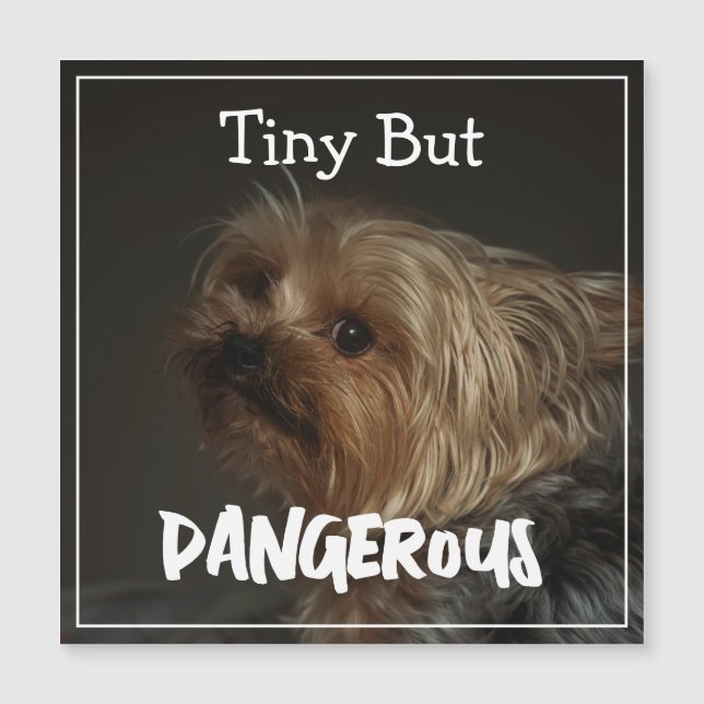 Terrier Mãe de Cachorro Personalizada Fofa Pet (Frente)