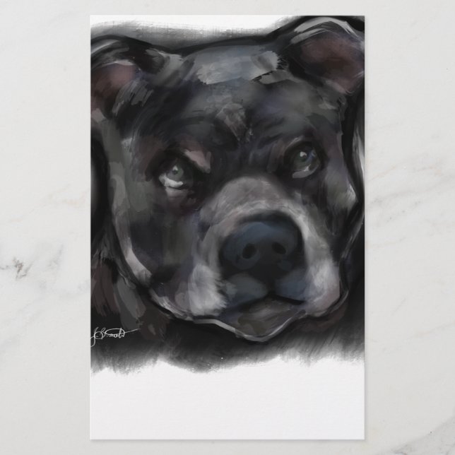 Terrier Staffordshire Americano (Frente)
