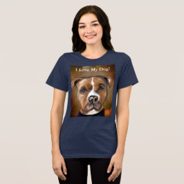 TERRIER STAFFORDSHIRE AMERICANO
