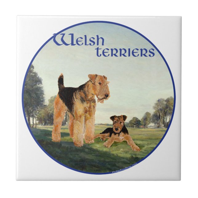 Terriers galeses (Frente)
