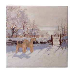 Terriers Irlandeses no Inverno