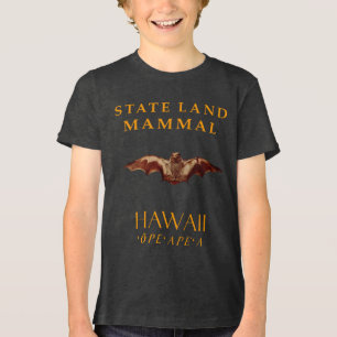 Território de Hawaii Mamífero Terrestre O Morcego