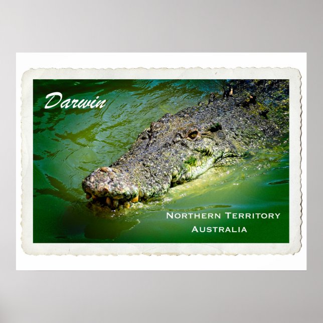 Território Norte Darwin - Poster de Crocodilo (Frente)