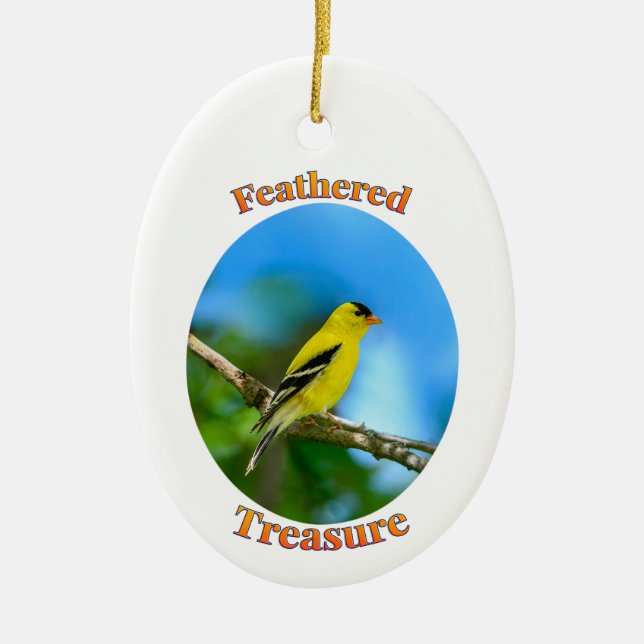 Tesouro Emplumado - Enfeite de Pintassilgo America (Frente)