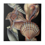 Tesouros do mar<br><div class="desc">Esta impressão de arte mostra as coisas mais finas na natureza dentro do oceano. Encontre todos os diferentes tipos de vida marinha nesta imagem, incluindo uma Conch Seashell, Sand Dollares, e Recifes enterrados no fundo do mar. Esta coleção de arte é uma coleção que deve ter nos seus próximos produtos...</div>
