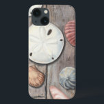 Tesouros em terra firme<br><div class="desc">Megan Meagher é conhecida por suas simples peças de arte. Essa imagem captura a simplicidade dos tesouros da orla, incluindo dólares de areia e conchas em tom pastel. Meagher engloba um fundo de madeira em sua imagem para contrastar esses tesouros. Obtenha este impressão de arte hoje sobre a cor da...</div>