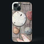 Tesouros em terra firme<br><div class="desc">Megan Meagher é conhecida por suas simples peças de arte. Essa imagem captura a simplicidade dos tesouros da orla, incluindo dólares de areia e conchas em tom pastel. Meagher engloba um fundo de madeira em sua imagem para contrastar esses tesouros. Obtenha este impressão de arte hoje sobre a cor da...</div>