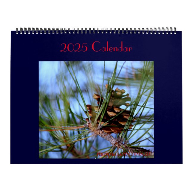 Tesouros encontrados todos os dias. Calendário (Capa)