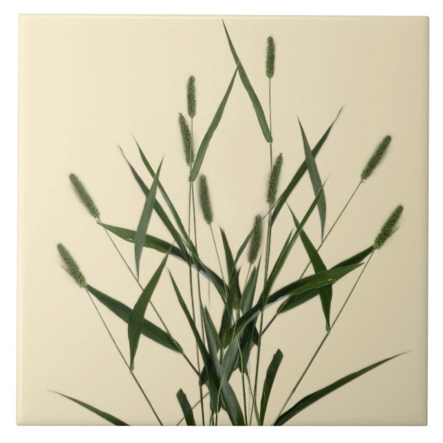 Tesouros textuais de verão em Azulejo cerâmico - A (Frente)