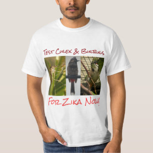 Teste a Camisa Culex & Bulbuls por RoseWrites