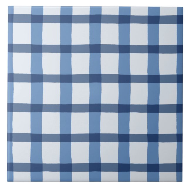 Teste padrão azul e branco da xadrez (Frente)