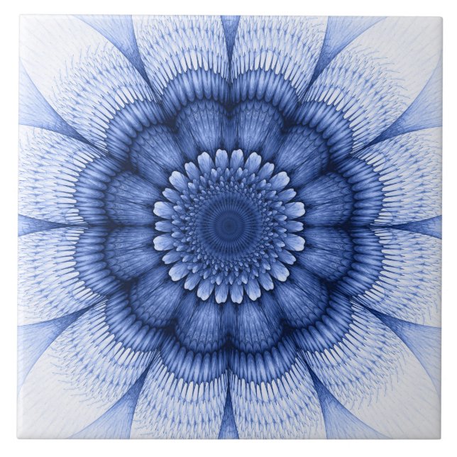 Teste padrão azul floral (Frente)