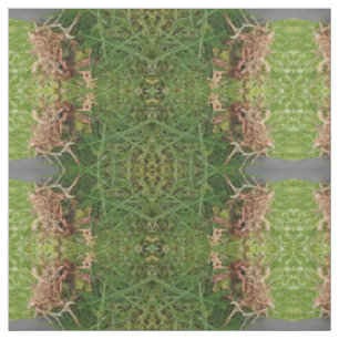teste padrão da grama dos olhos verdes, tecido