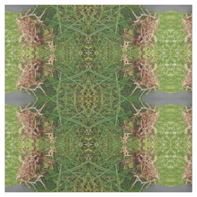 teste padrão da grama dos olhos verdes, tecido (Modelo)
