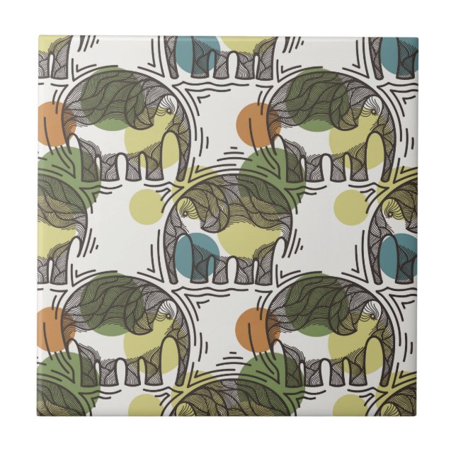 Teste padrão do elefante (Frente)