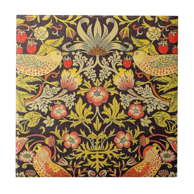 Teste padrão do ladrão da morango de William (Frente)