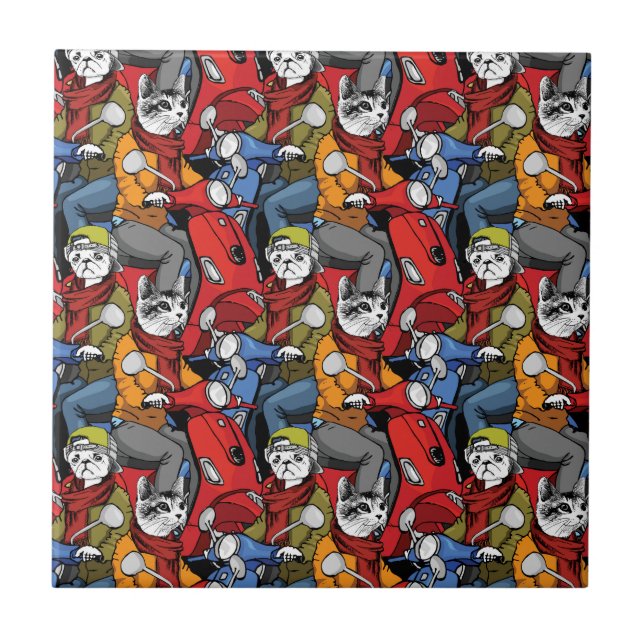 Teste padrão do patinete dos gatos & dos cães (Frente)